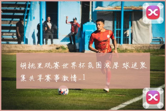 胡桃里观赛世界杯氛围浓厚 球迷聚集共享赛事激情_1