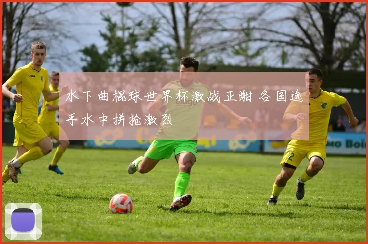 水下曲棍球世界杯激战正酣 各国选手水中拼抢激烈