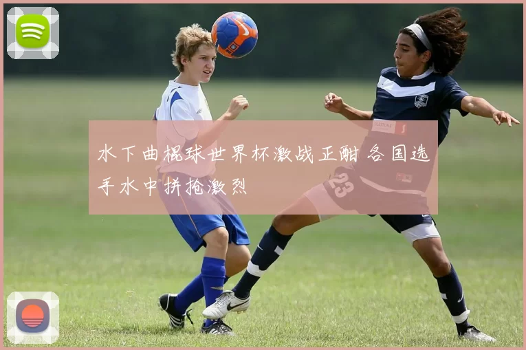 水下曲棍球世界杯激战正酣 各国选手水中拼抢激烈