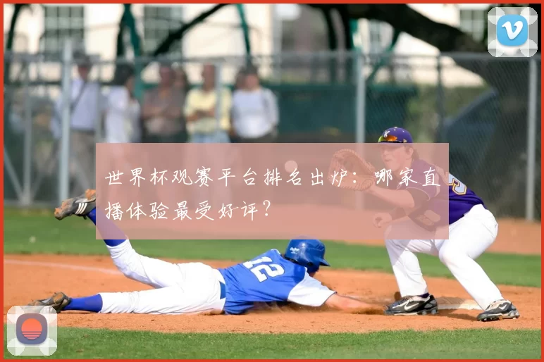 世界杯观赛平台排名出炉：哪家直播体验最受好评？