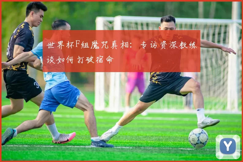 世界杯F组魔咒真相：专访资深教练谈如何打破宿命