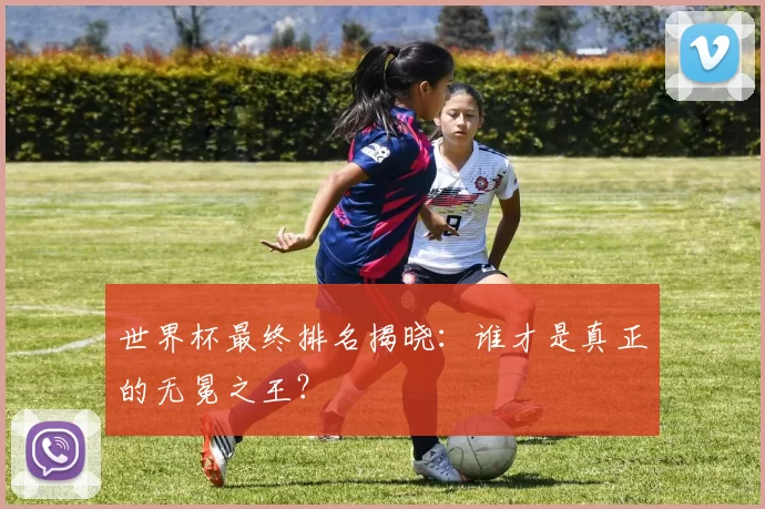 世界杯最终排名揭晓:谁才是真正的无冕之王?