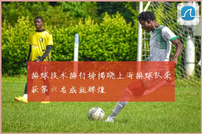 排球技术排行榜揭晓上海排球队荣获第六名成就辉煌