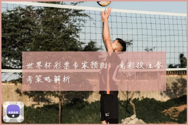 世界杯彩票专家预测，竞彩投注参考策略解析