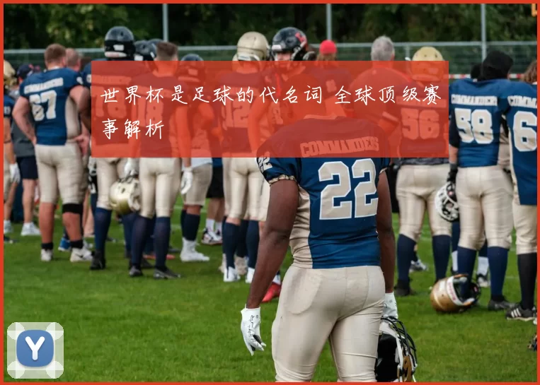 世界杯是足球的代名词 全球顶级赛事解析