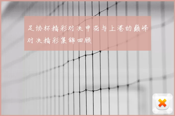 足协杯精彩对决申花与上港的巅峰对决精彩集锦回顾