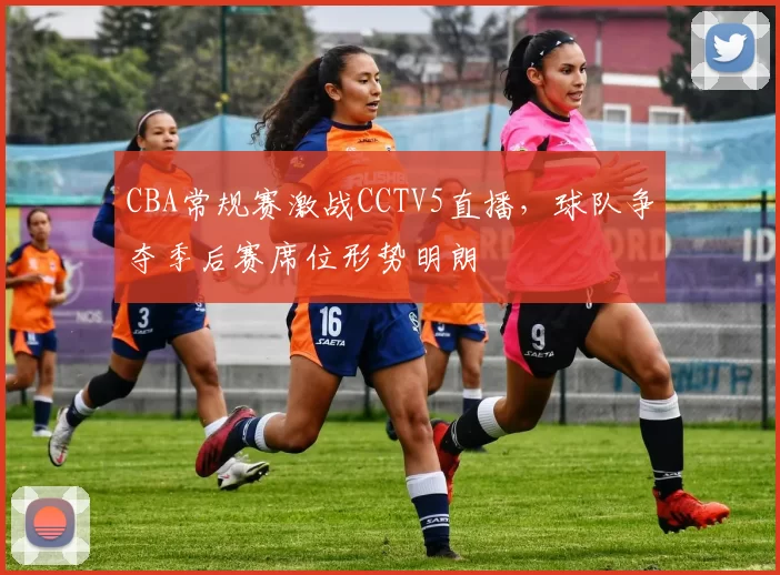 CBA常规赛激战CCTV5直播，球队争夺季后赛席位形势明朗