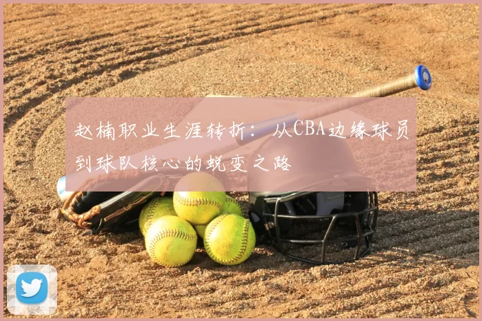 赵楠职业生涯转折：从CBA边缘球员到球队核心的蜕变之路