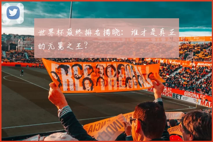 世界杯最终排名揭晓:谁才是真正的无冕之王?