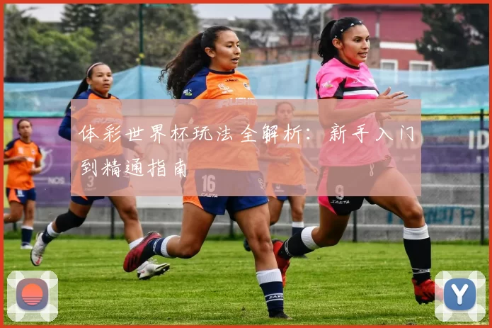 体彩世界杯玩法全解析:新手入门到精通指南